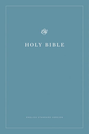 ESV Economy Bible (Blue)